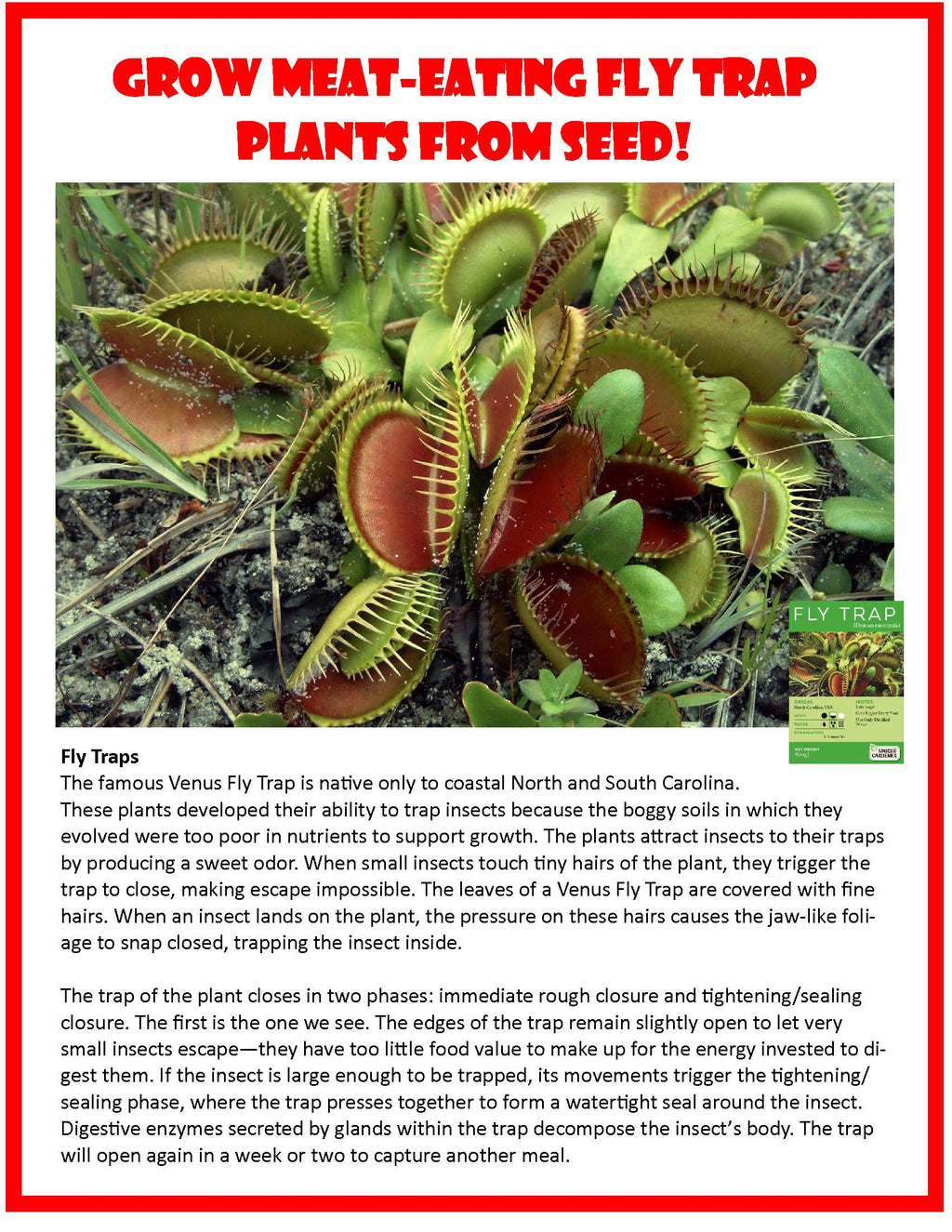 Flytrap Garden Glass Terrarium Seed Starting Kit