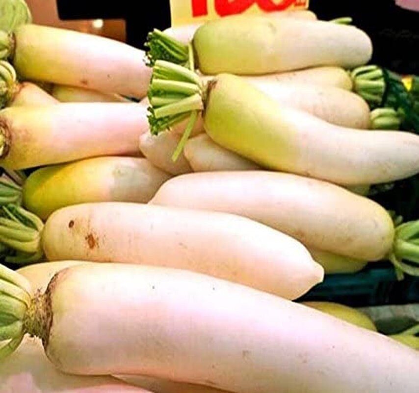 Japanese Daikon Seeds - Daikon Radish Seeds - Japanese Radish - Non-Gmo