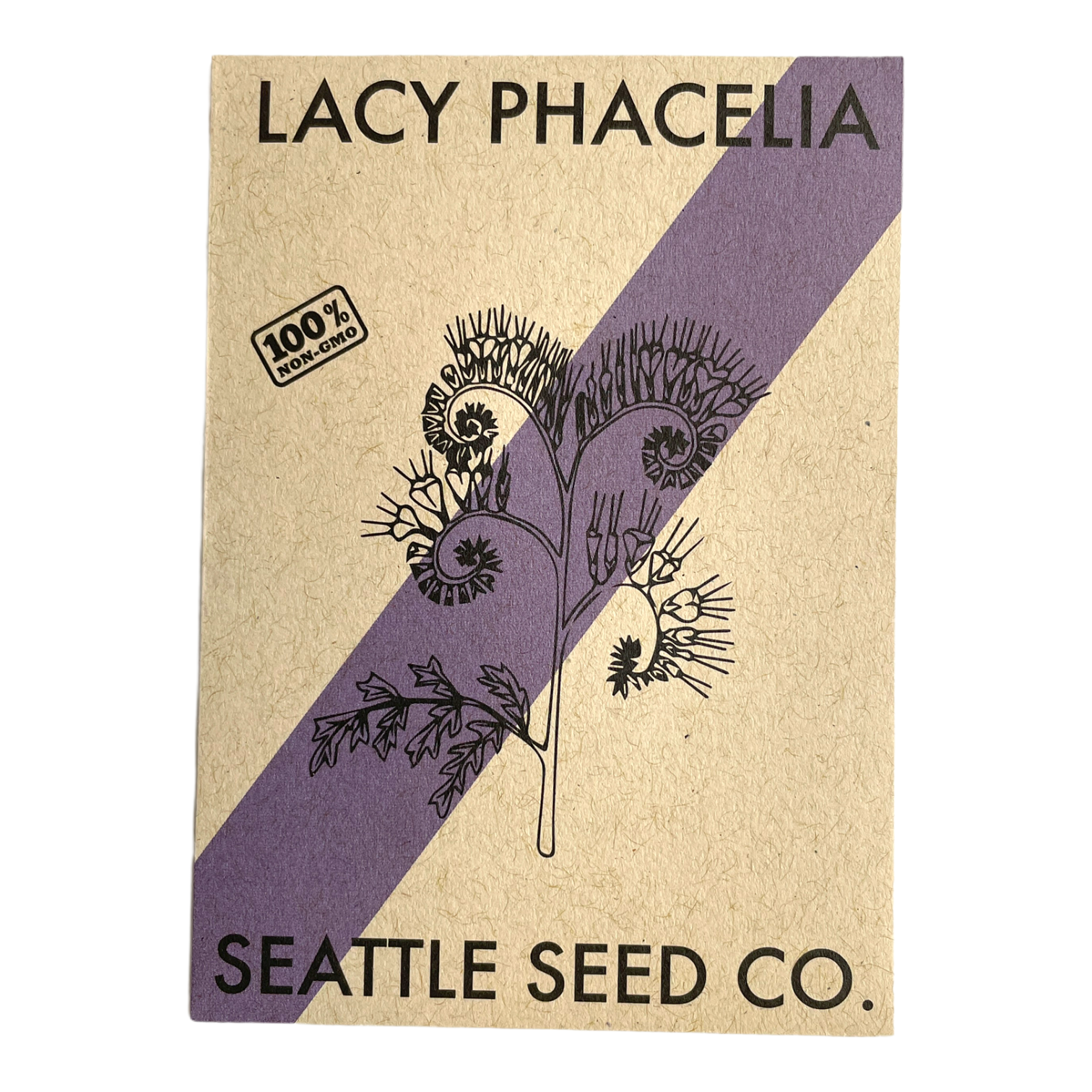 Lacy Phacelia